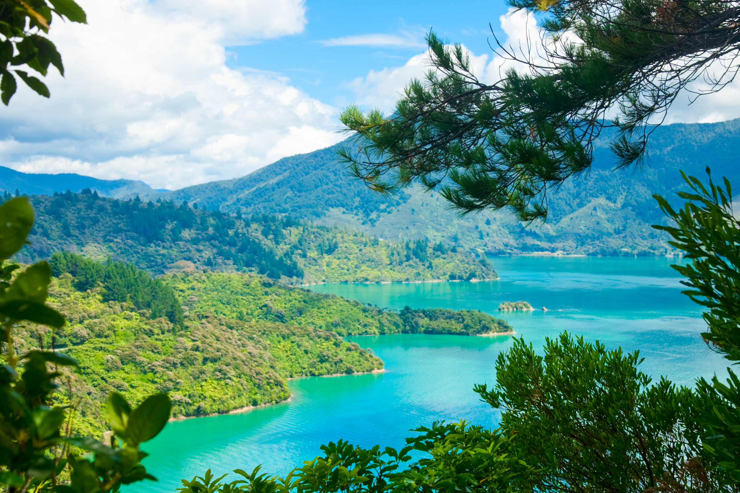 124 marlborough sounds.webp